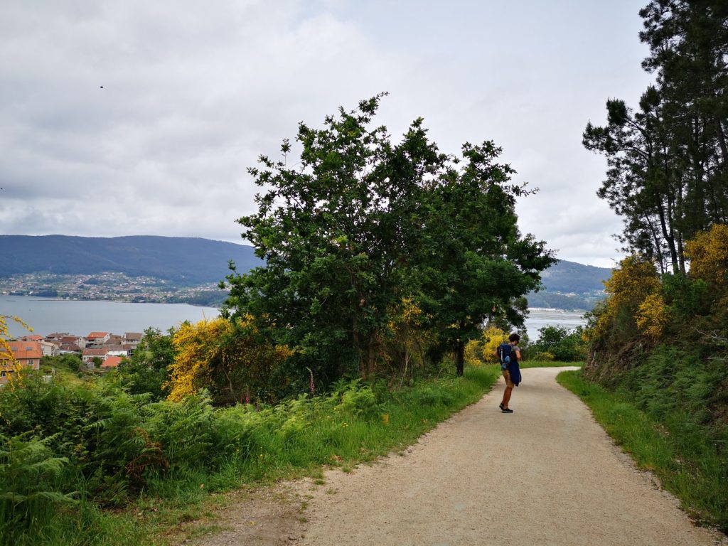 Cesantes, Camino de Santiago de Compostela