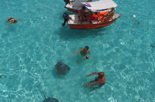 Mantarrayas en Moorea