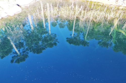 Parque Huerquehue, alrededores de Pucón