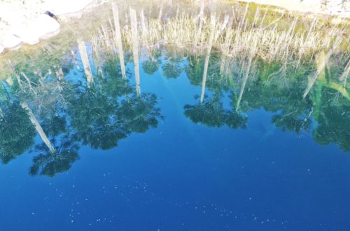 Parque Huerquehue, alrededores de Pucón