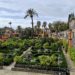 Real Alcázar Sevilla